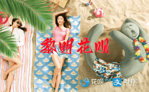 热锅上的蚂蚁花呗